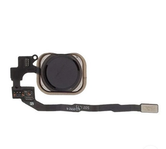 فلت هوم و اثر انگشت